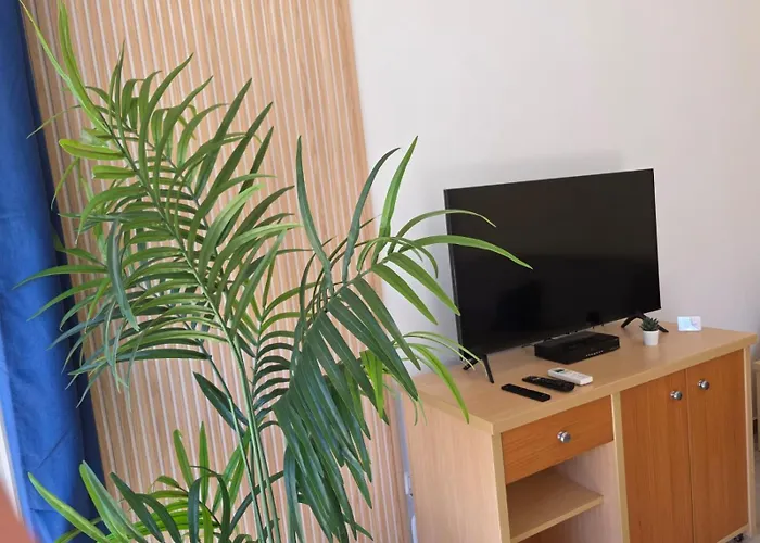 Teresa 普拉亚戴尔雷安格莱斯