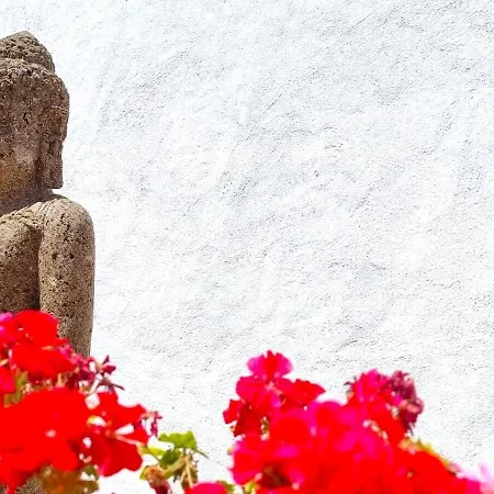 Teresa 플라야 델 잉글스